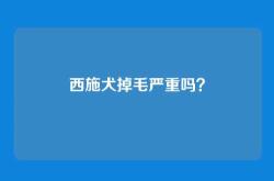 西施犬掉毛严重吗？