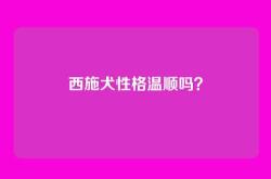 西施犬性格温顺吗？