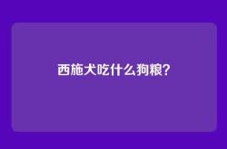西施犬吃什么狗粮？