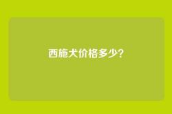 西施犬价格多少？