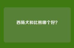 西施犬和比熊哪个好？
