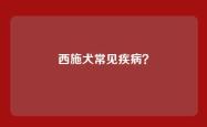 西施犬常见疾病？