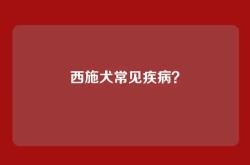 西施犬常见疾病？