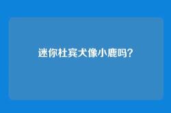 迷你杜宾犬像小鹿吗？
