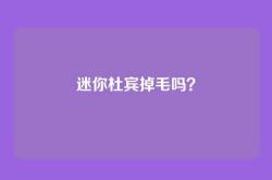 迷你杜宾掉毛吗？
