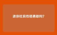 迷你杜宾性格勇敢吗？