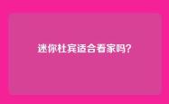 迷你杜宾适合看家吗？