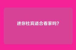 迷你杜宾适合看家吗？
