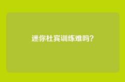 迷你杜宾训练难吗？