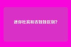 迷你杜宾和吉娃娃区别？