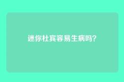 迷你杜宾容易生病吗？