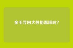 金毛寻回犬性格温顺吗？