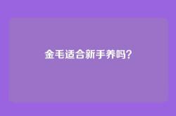 金毛适合新手养吗？