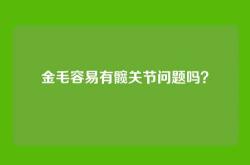 金毛容易有髋关节问题吗？