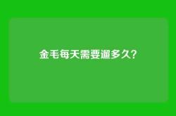 金毛每天需要遛多久？