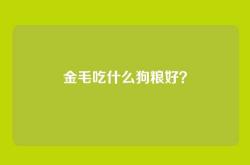 金毛吃什么狗粮好？