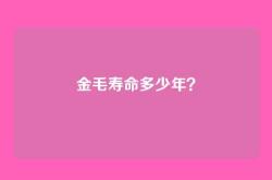 金毛寿命多少年？