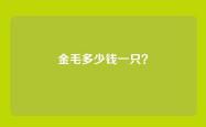 金毛多少钱一只？