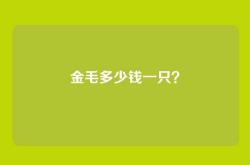 金毛多少钱一只？