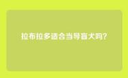 拉布拉多适合当导盲犬吗？