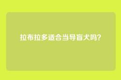 拉布拉多适合当导盲犬吗？