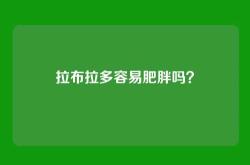拉布拉多容易肥胖吗？