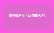 拉布拉多每天运动量多少？