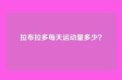 拉布拉多每天运动量多少？