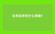 拉布拉多吃什么狗粮？