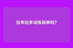拉布拉多训练简单吗？
