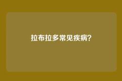 拉布拉多常见疾病？