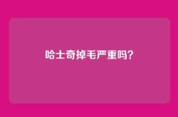哈士奇掉毛严重吗？