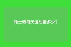 哈士奇每天运动量多少？