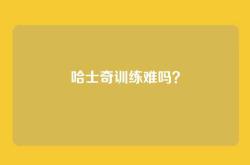 哈士奇训练难吗？