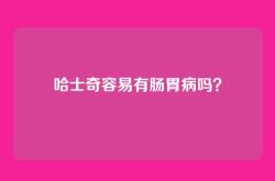 哈士奇容易有肠胃病吗？