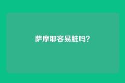 萨摩耶容易脏吗？