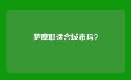萨摩耶适合城市吗？