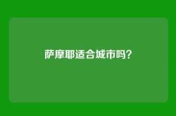 萨摩耶适合城市吗？