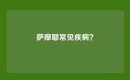 萨摩耶常见疾病？