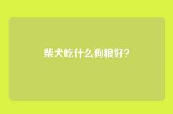 柴犬吃什么狗粮好？