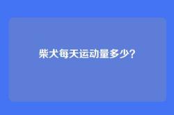 柴犬每天运动量多少？