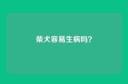 柴犬容易生病吗？