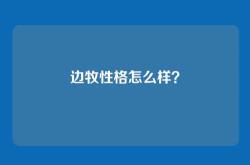 边牧性格怎么样？