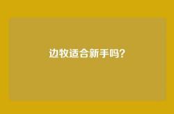 边牧适合新手吗？
