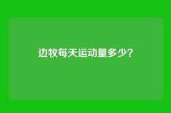 边牧每天运动量多少？