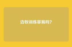 边牧训练容易吗？