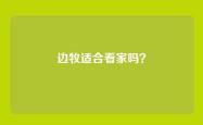 边牧适合看家吗？