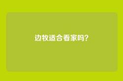 边牧适合看家吗？