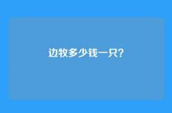 边牧多少钱一只？