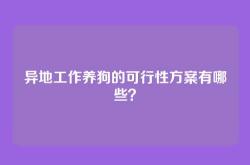 异地工作养狗的可行性方案有哪些？